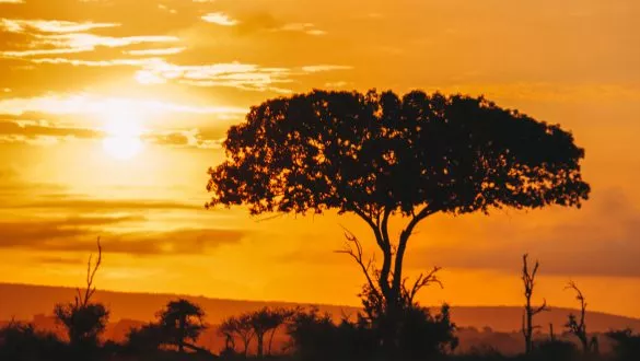 Reisroute Zuid-Afrika