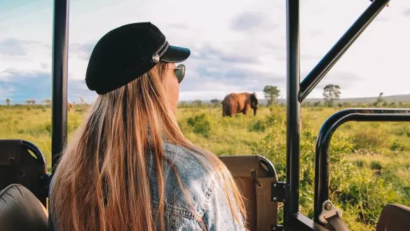 jeepsafari Krugerpark