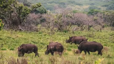 iSimangaliso Wetlands Park