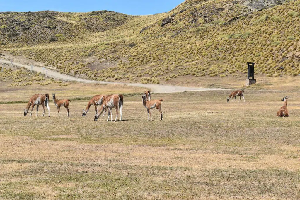 Patagonia National Park