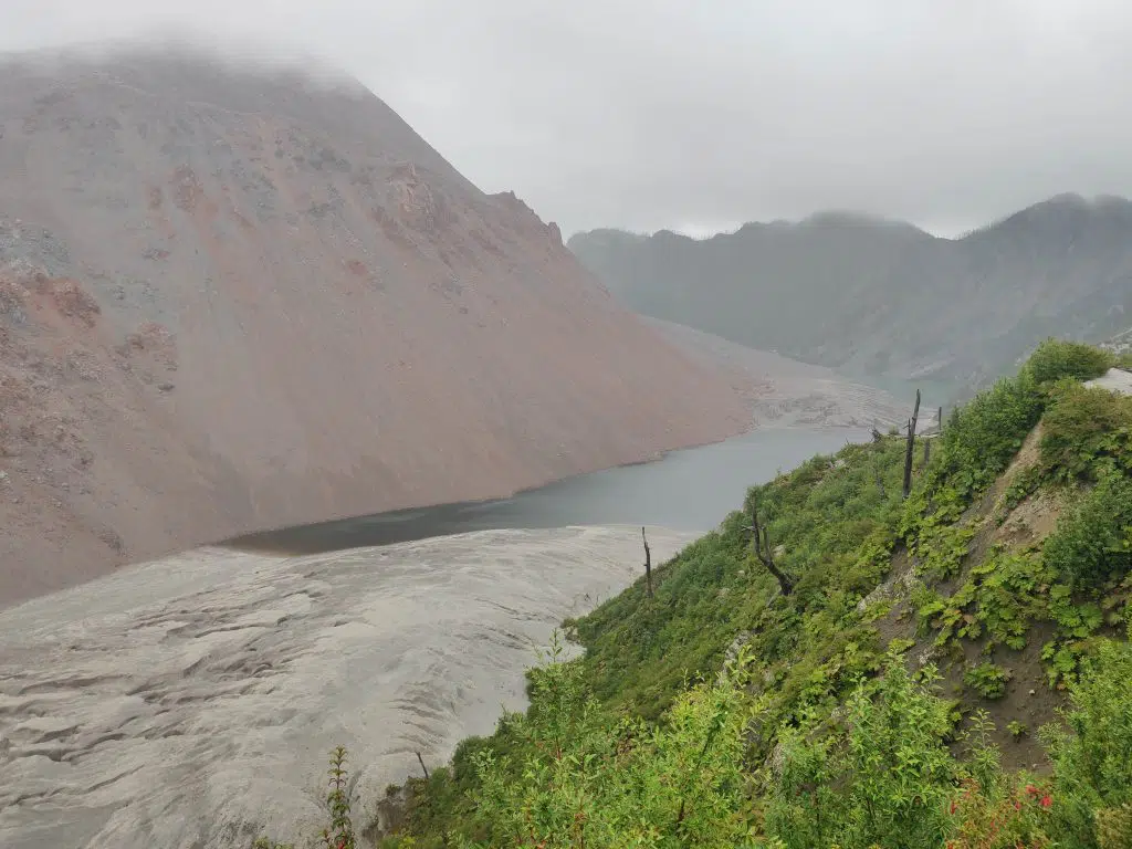 Pumalin National Park