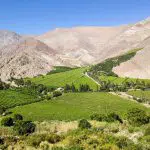 Elqui Vallei