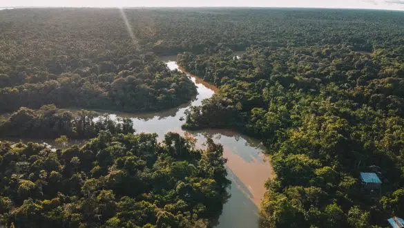 Amazone Colombia