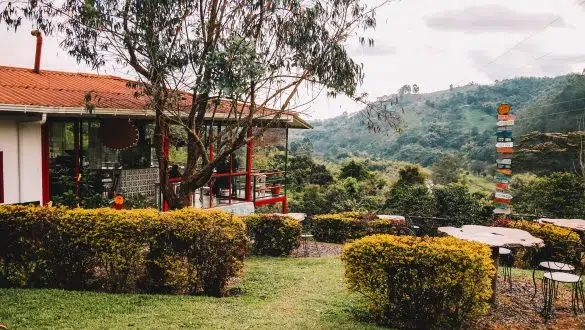 Finca Ocaso Salento Colombia