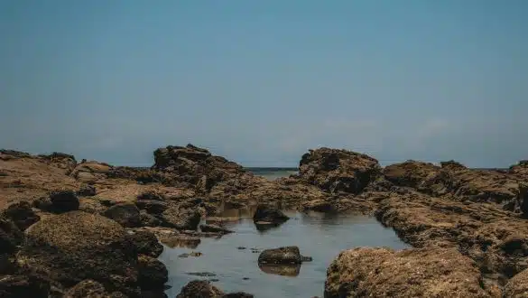 Tide pool Santa Teresa Costa Rica