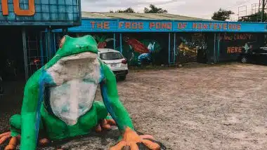 Monteverde Frog Pond