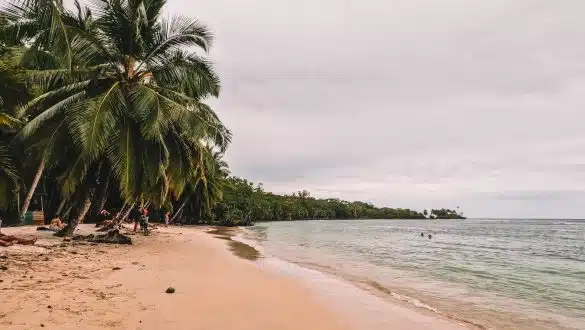 Isla Carenero Bocas del Toro