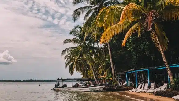 Starfish Beach Bocas del Toro