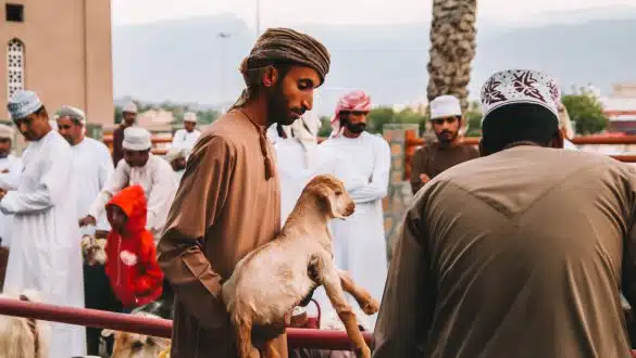 Geitenmarkt Nizwa