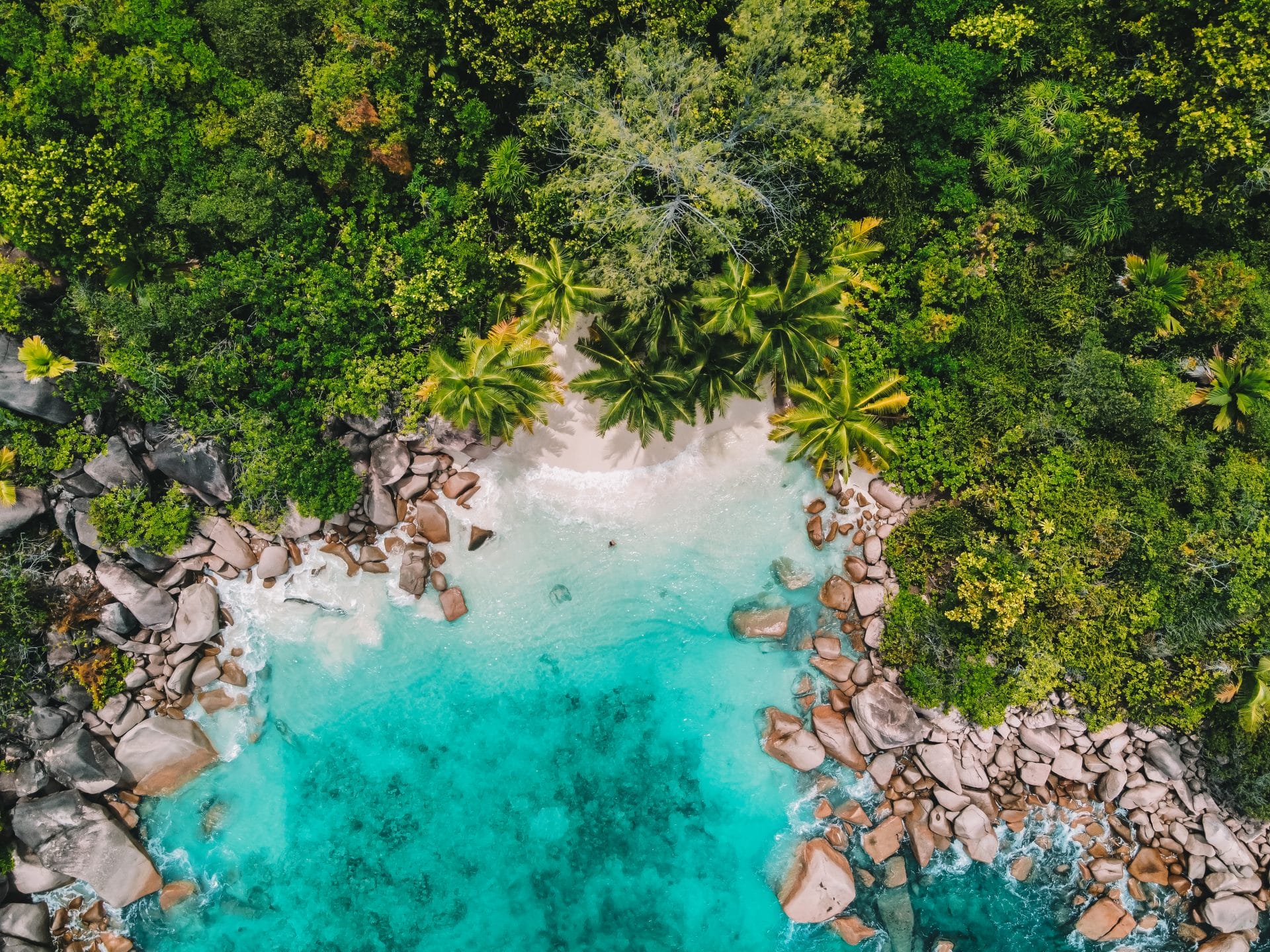 Petite Anse Lazio Praslin Seychellen