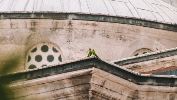 Sultanahmet Istanbul