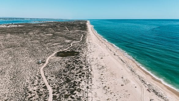 Boottour Ria Formosa Natural Park